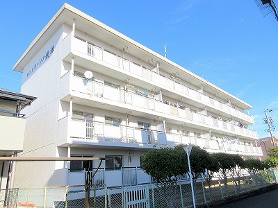 セントポーリア蜆塚 その他1