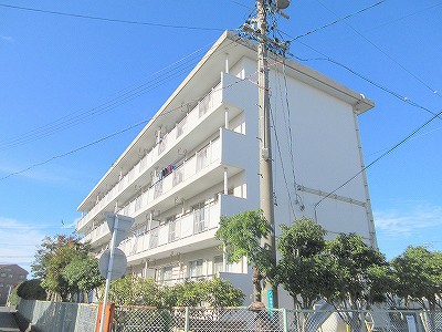 セントポーリア蜆塚 その他2