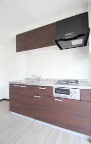 セントポーリア蜆塚 その他4