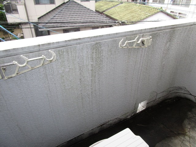 メゾン・ド・スターブル その他19