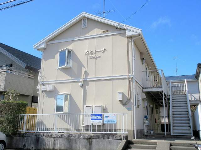 カヒィーナ その他2