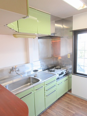 ｂｌｕｅ　ｒｏｓｅＢ その他4