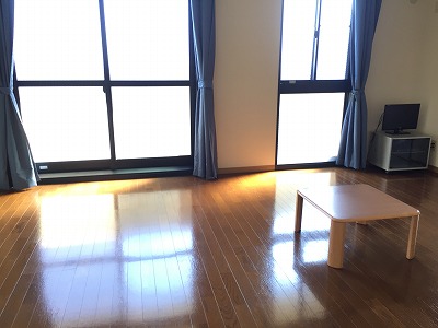 レオパレスＧＲＥＥＮ・ＶＩＥＷ リビング