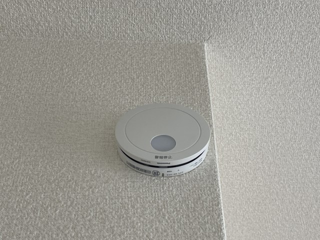 ヴィヴァーチェ若林 その他37