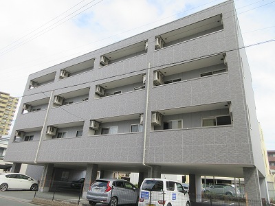 ＭＡＨＡＬＯ・ＨＡＬ その他8