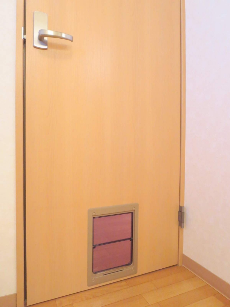 ウィズエフⅡ その他19