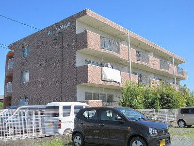 ビューしじみの森 その他7