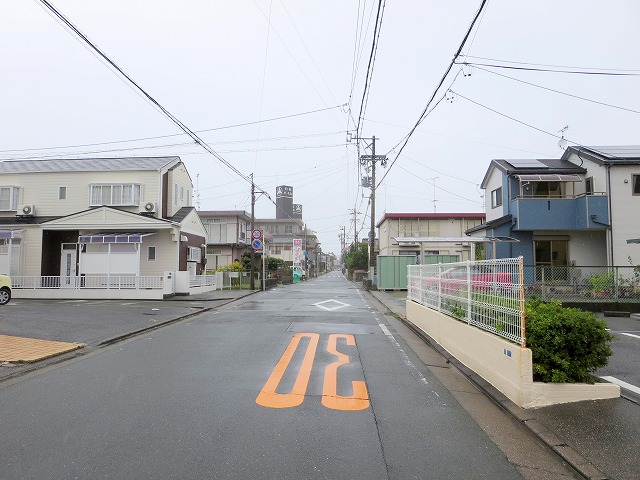 パステラーレグリン その他10
