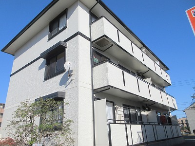 ラベンダー その他1