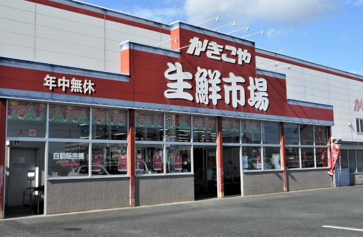 ダンデライオン その他9