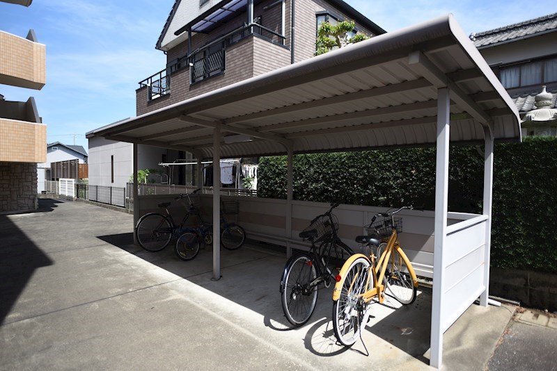 ダンデライオン その他26