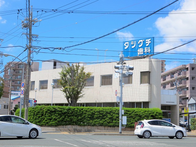 プレージョ元魚 その他10