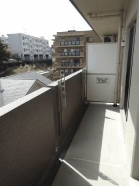 プレージョ元魚 その他13