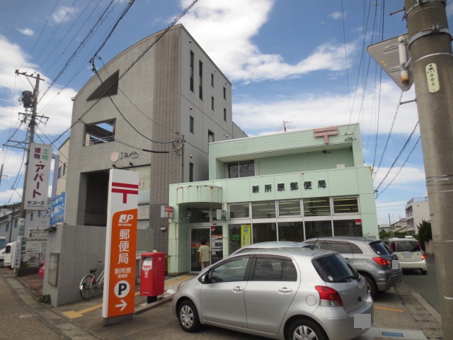 杉山ハイツＣ 周辺画像4
