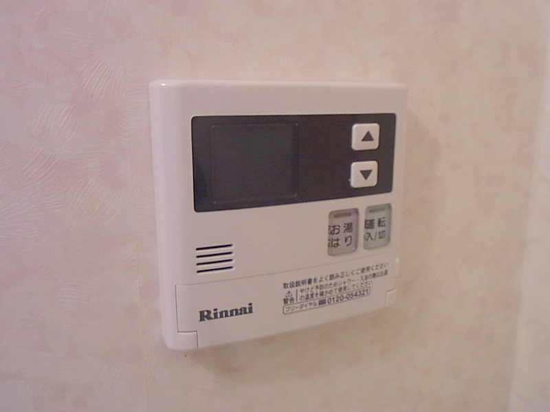 オーナメント その他15