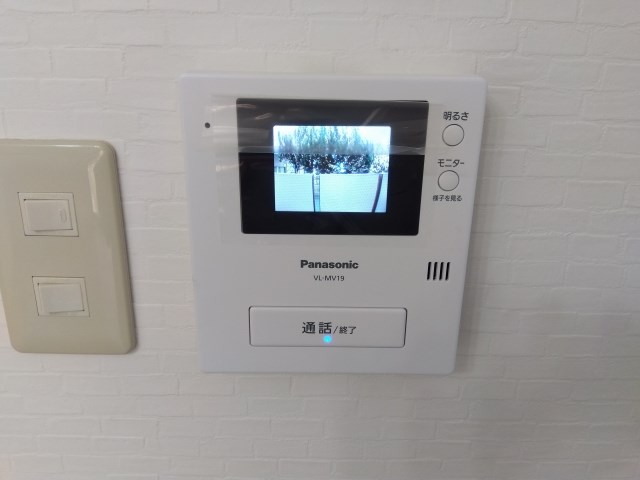 プルメリア その他2