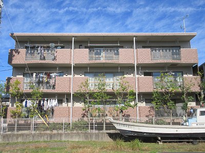 ベルコスモス その他1