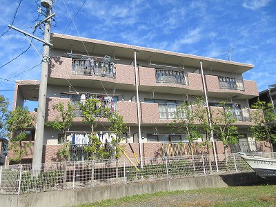ベルコスモス その他2