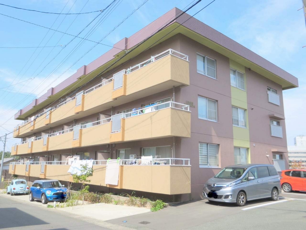 ＬＵＭＩＵＳ　ＳＡＮＡＲＵＤＡＩ その他1