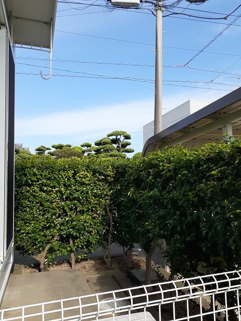 テラスハウスブルースカイ その他5