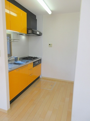 パラシオンワシヅ その他24