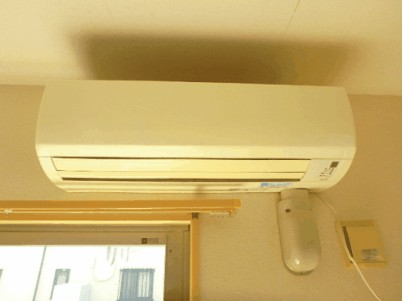 パルティーレ その他16