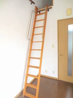 グリーンミューズ その他12