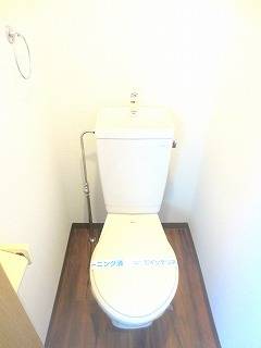 グリーンミューズ その他14