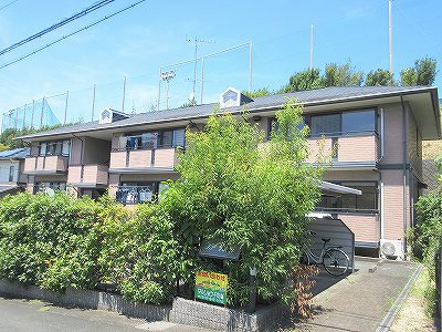 ノア天の峯 その他1