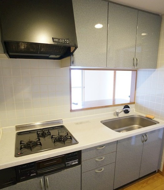 フェリス南平 その他4