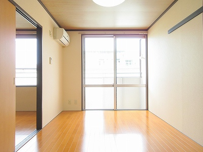 どえるかみや その他3