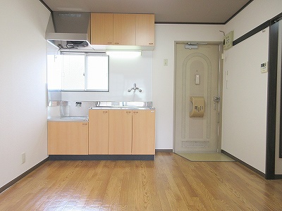 どえるかみや その他15