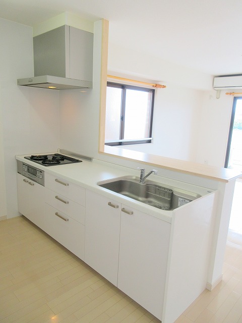 リーベンハイムカガ その他4