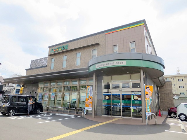 メゾン池の沢 その他9