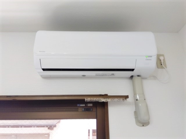 プルメリア その他1