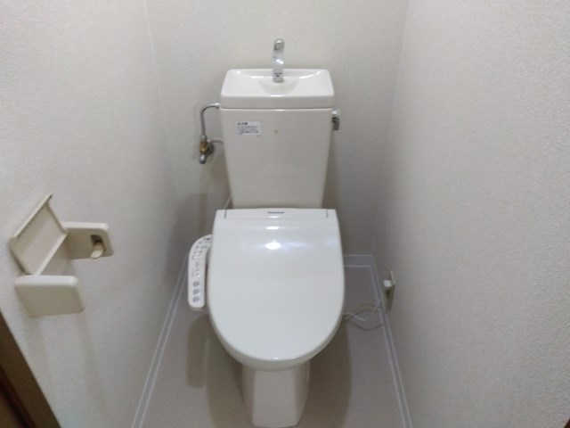 プルメリア その他3