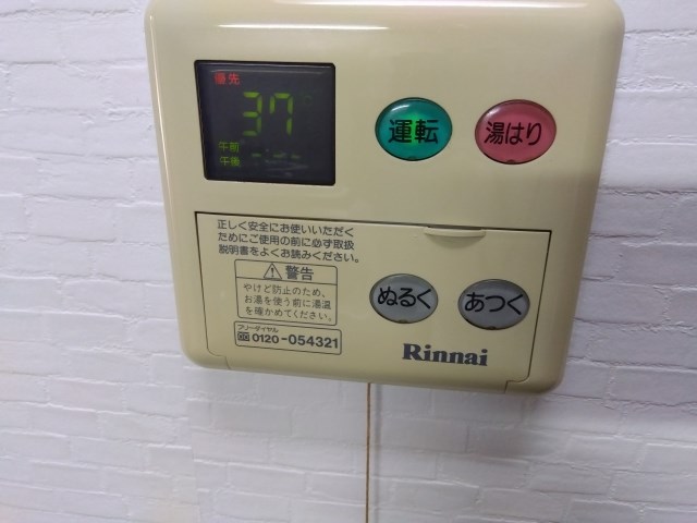 プルメリア その他8