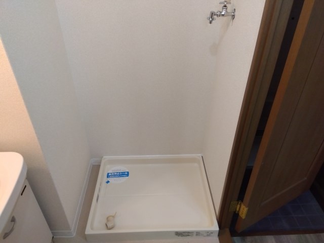 プルメリア その他9