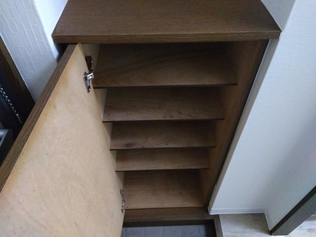 プルメリア その他10