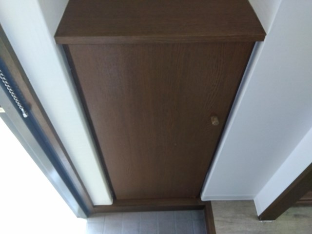 プルメリア その他11