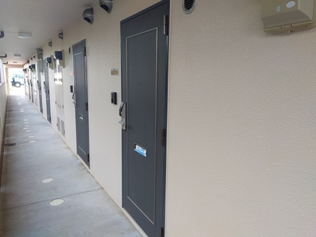 プルメリア その他16