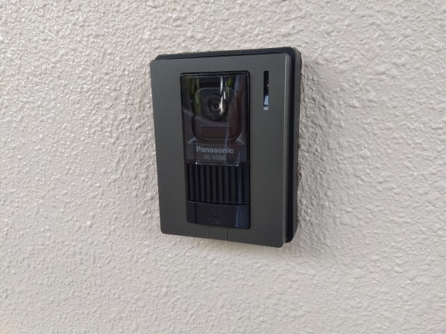 プルメリア その他17