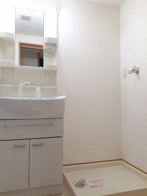 プラシードⅡ その他2