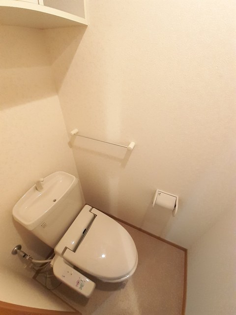 プラシードⅡ その他3