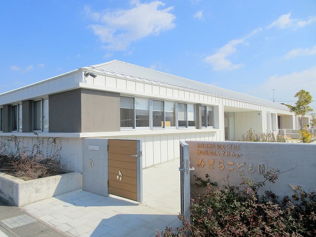 プルメリア その他9