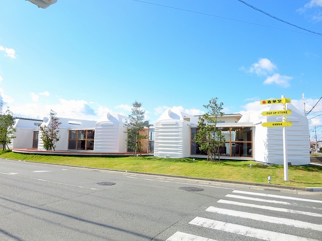 プルメリア その他10