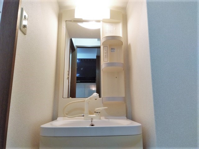 プルメリア その他11