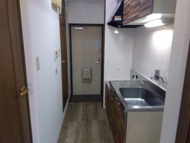 プルメリア その他14