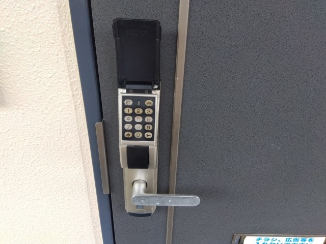 プルメリア その他25