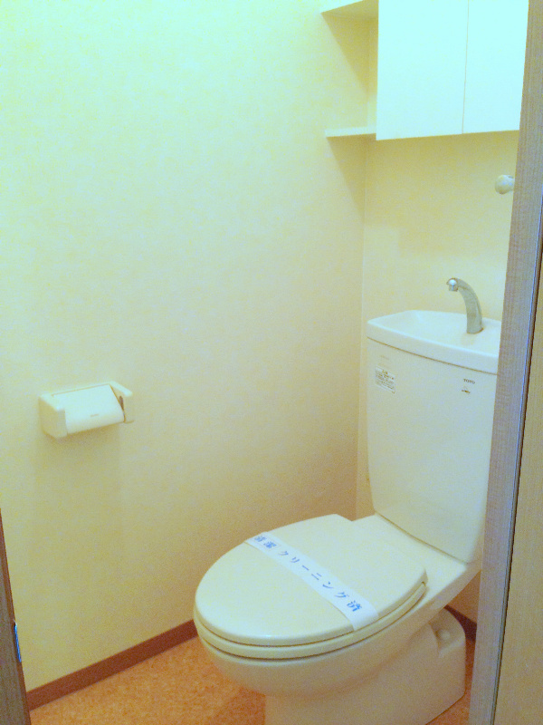 Ｌｕｐｉｎｕｓ その他2